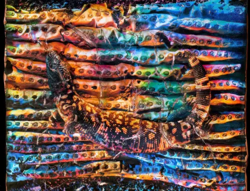 Bill Lesch – Direct Print On Copper
