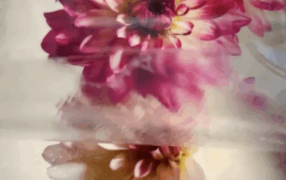 Image Transfer Tutorial for Mixed-Media Backgrounds